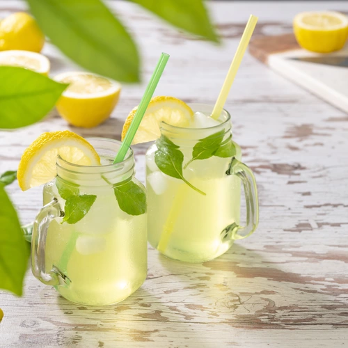 Zitronen-Basilikum (Ocimum × citriodorum) Blätter verzieren Gläser mit einem erfrischenden Zitronengetränk. Die Getränke sind mit Eiswürfeln gefüllt und von frischen Zitronenscheiben begleitet, die auf einem Holzbrett in der Nähe vorbereitet werden.