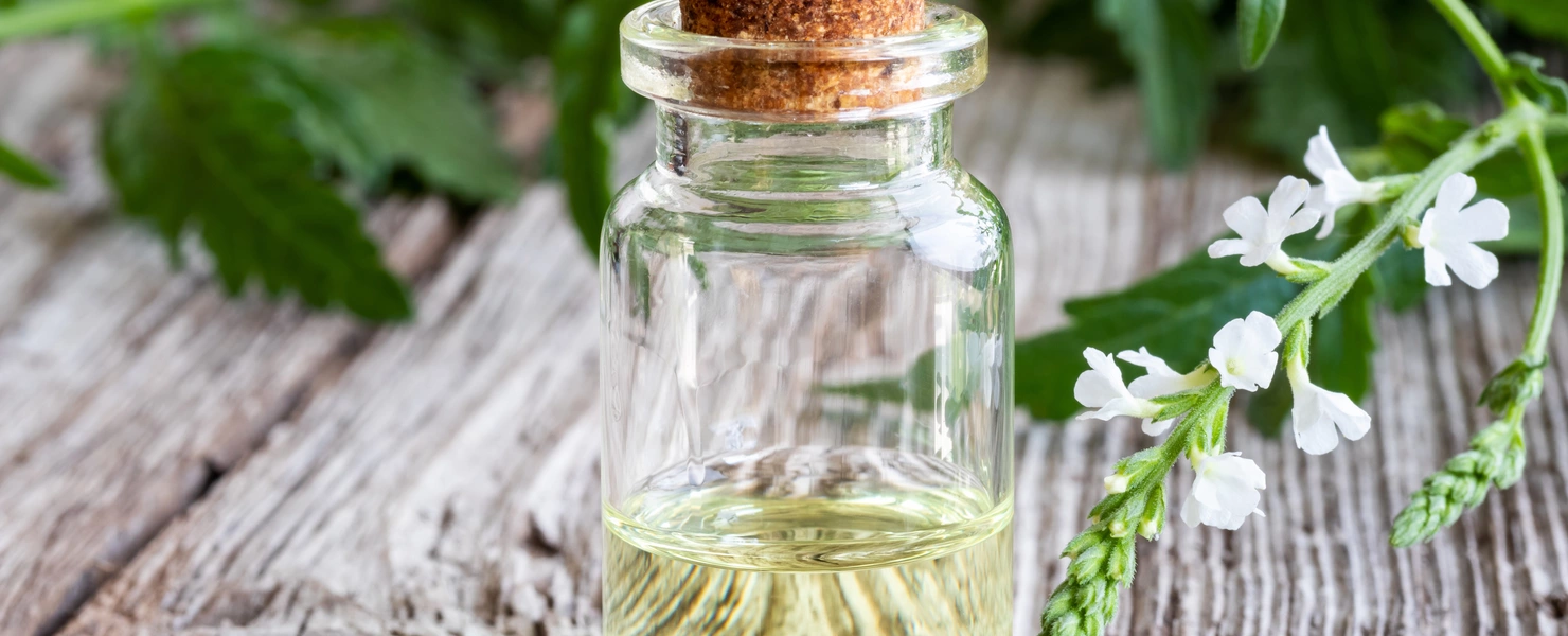 Echtes Eisenkraut (Verbena officinalis) in einer Glasflasche mit Korkverschluss, gefüllt mit Öl, das zusammen mit frischen Eisenkrautzweigen und weißen Blüten auf einem Holzuntergrund abgebildet ist.