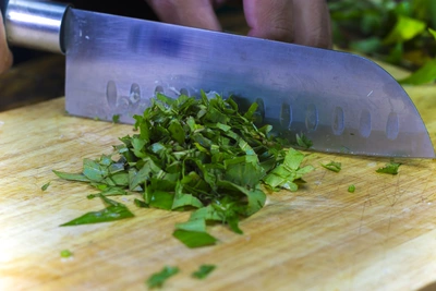 Frische Blätter des vietnamesischen Korianders (Coriandrum sativum) werden mit einem Messer auf einem Holzbrett gehackt. Die Blätter sind fein geschnitten und das Messer liegt daneben, bereit für weitere Zerkleinerung.