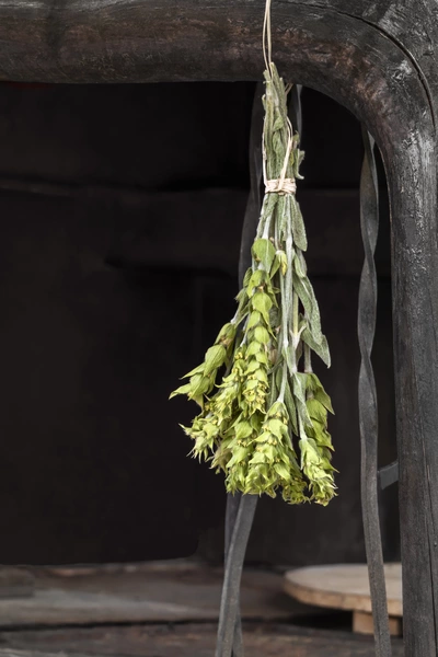 Ein Bündel getrockneter griechischer Bergtee hängt kopfüber an einer rustikalen, dunklen Holzstruktur. Die grünen Stängel und gelben Blüten sind locker zusammengebunden.