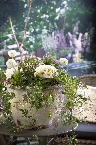 Eine Zimmerjasmin-Pflanze mit weißen Blüten in einem großen, antik wirkenden Topf steht auf einem runden Tisch im Freien, umgeben von einer grünen, verschwommenen Gartenlandschaft