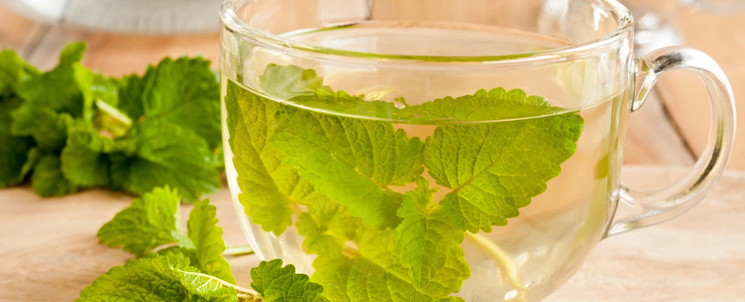 Eine Glastasse mit frisch aufgebrühtem Zitronenmelisse-Tee, darin schwimmen grüne Blätter. Auf dem Holztisch liegen weitere frische Zitronenmelisse-Blätter. Im Hintergrund sind Karaffen zu sehen.