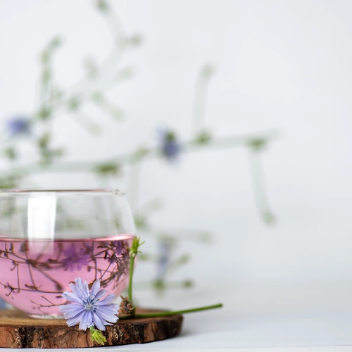 Ein Glas mit rosafarbenem Wegwartentee auf einer kleinen Holzscheibe, dekoriert mit einer blauen Wegwartenblüte. Im Hintergrund sind unscharfe Wegwartenstängel mit weiteren Blüten sichtbar.