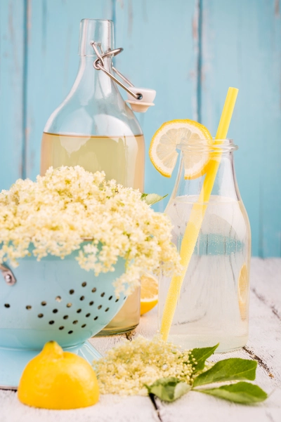 Holunderblütensirup und Erfrischungsgetränk mit Zitronenscheibe aus Blüten des Sambucus nigra.