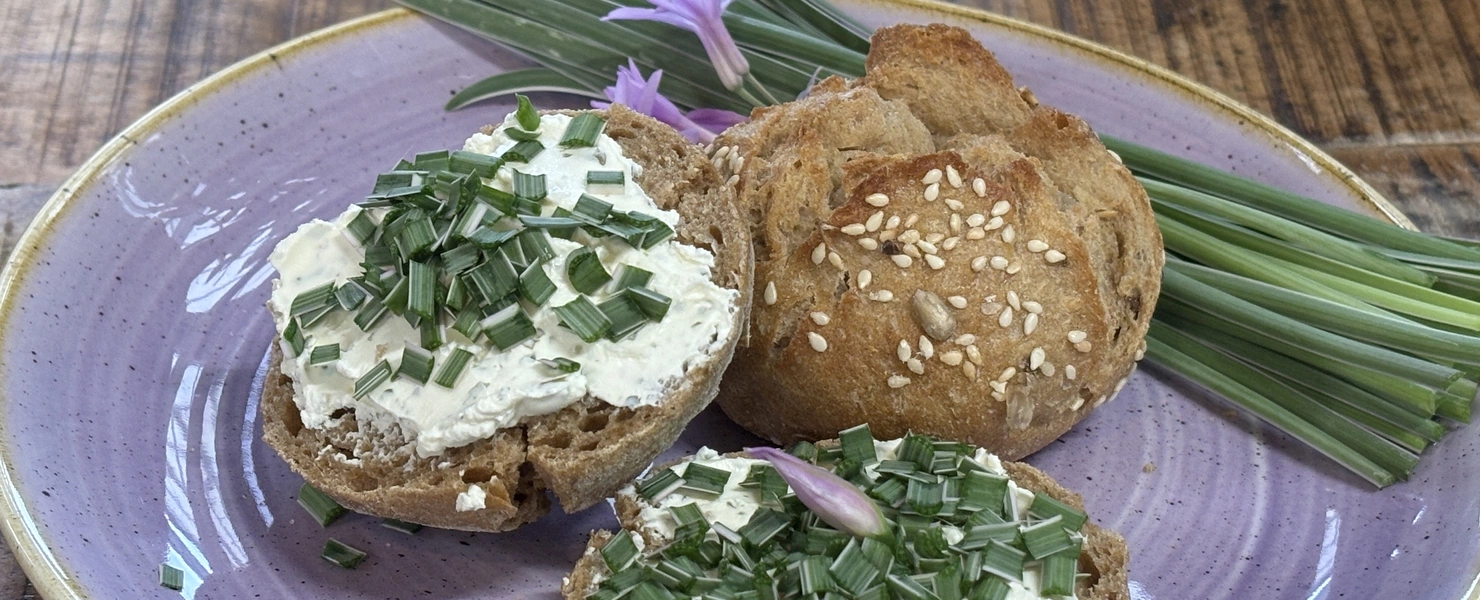 Ein Teller mit zwei belegten Broten, die mit Frischkäse und gehacktem Knoblauchgras (Allium tuberosum) belegt sind. Frische Knoblauchgraspflanzen und violette Blüten liegen daneben. Das Ganze ist auf einem lilafarbenen Teller angerichtet.