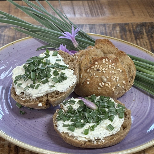 Ein Teller mit zwei belegten Broten, die mit Frischkäse und gehacktem Knoblauchgras (Allium tuberosum) belegt sind. Frische Knoblauchgraspflanzen und violette Blüten liegen daneben. Das Ganze ist auf einem lilafarbenen Teller angerichtet.