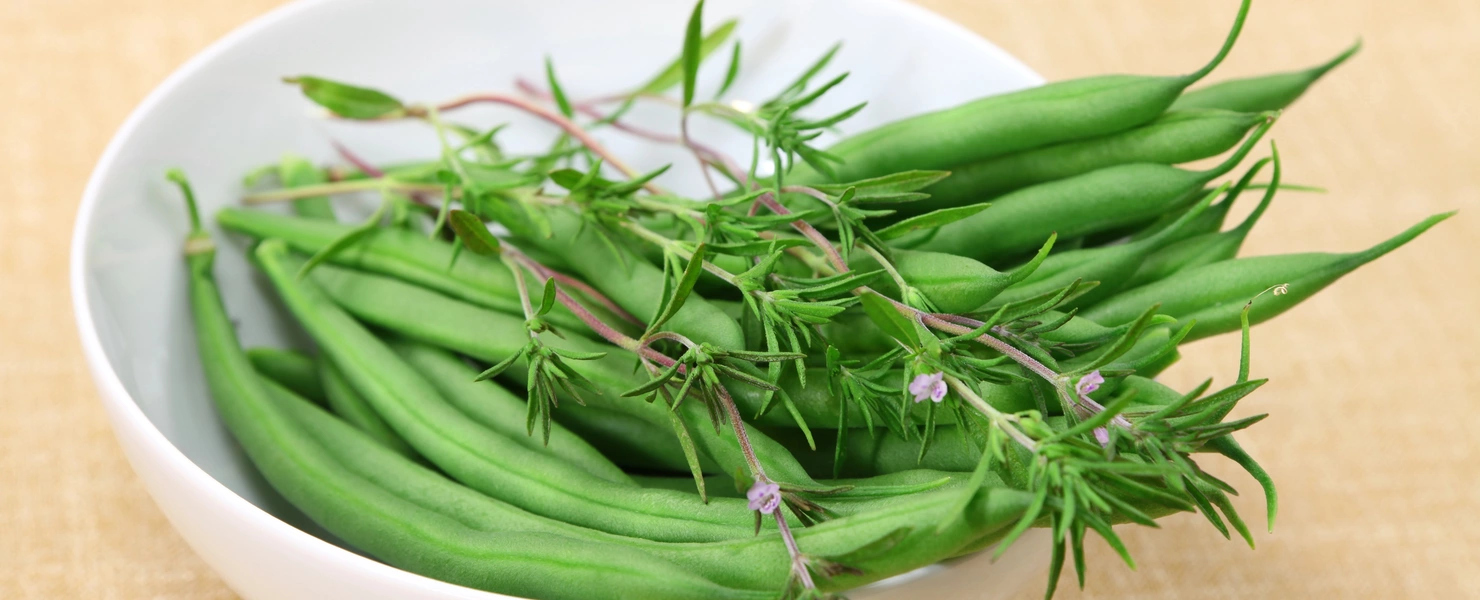 Sommer-Bohnenkraut (Satureja hortensis) ist zusammen mit frischen grünen Bohnen in einer weißen Schale arrangiert. Die feinen Blätter des Kräuters und die zarten lila Blüten ergänzen die leuchtend grünen Bohnen und verleihen dem Bild eine frische, natürliche Atmosphäre.