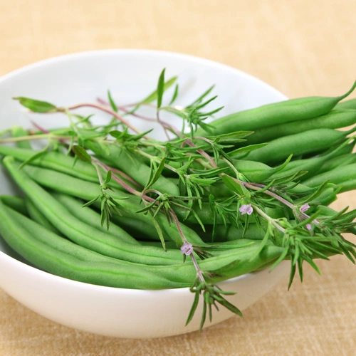 Sommer-Bohnenkraut (Satureja hortensis) ist zusammen mit frischen grünen Bohnen in einer weißen Schale arrangiert. Die feinen Blätter des Kräuters und die zarten lila Blüten ergänzen die leuchtend grünen Bohnen und verleihen dem Bild eine frische, natürliche Atmosphäre.