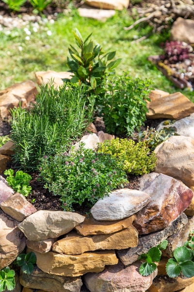Eine Kräuterspirale aus Natursteinen mit verschiedenen Pflanzen wie Oregano, Rosmarin und Thymian in einem sonnigen Garten. Der grüne Rasen im Hintergrund unterstreicht die natürliche Umgebung.