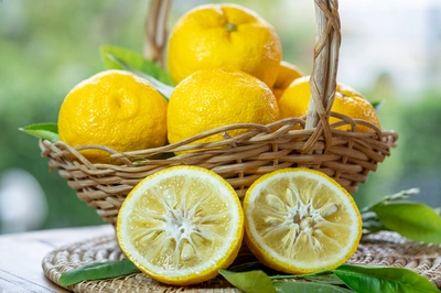Ichang-Zitronen in einem Korb mit halbierter Frucht im Vordergrund.