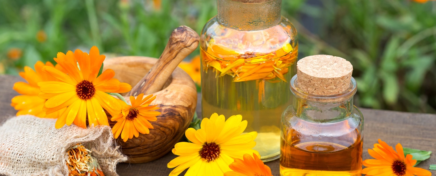 Zwei Flaschen mit Ringelblumenöl, eine in einem Glasbehälter und die andere in einem größeren Glas, stehen auf einem rustikalen Holzuntergrund, umgeben von leuchtend orangefarbenen Ringelblumen und einer Holzschale.
