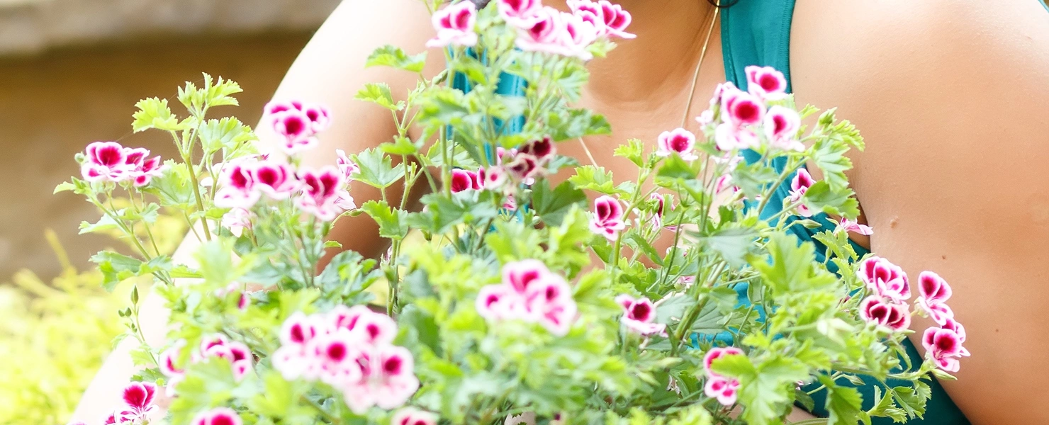 Frau mit dunklen Haaren und türkisfarbenem Top kniet im Garten und hält eine blühende Duftgeranie in einem Terrakottatopf, während sie lächelnd an den Blüten riecht. Im Hintergrund grüne Pflanzen und ein Steinrand.