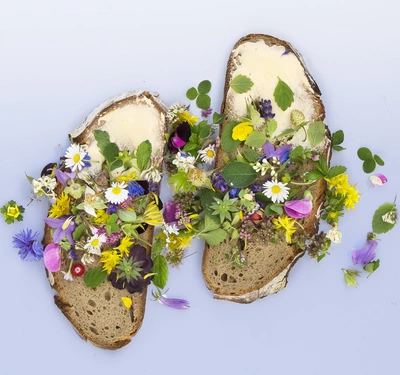 Echte Kamille (Matricaria chamomilla) zusammen mit verschiedenen bunten Blumen, die auf zwei Scheiben Brot arrangiert sind. Die Blumen bedecken das Brot kunstvoll, was das Bild frisch und lebendig macht.