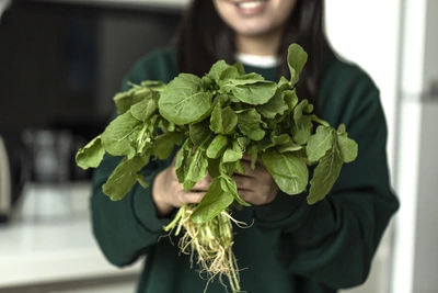 Eine Person hält frischen Wasabi-Rucola (Eruca sativa) in den Händen, mit sichtbaren Wurzeln und grünen Blättern. Der Hintergrund ist unscharf, sodass die Pflanze im Vordergrund hervorsticht.