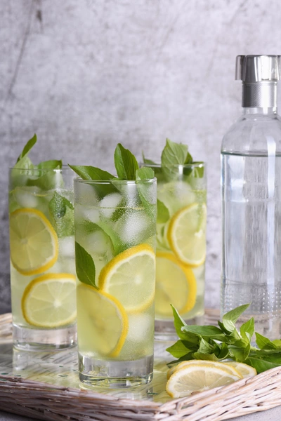 Zitronen-Basilikum (Ocimum × citriodorum) Blätter verschönern ein erfrischendes Getränk aus Zitronenscheiben und Wasser. Das Getränk wird in hohen Gläsern serviert, die auf einem Tablett stehen, während eine Flasche Wasser im Hintergrund sichtbar ist.