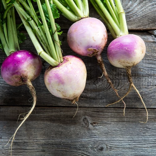 Frisch geerntete Herbstrüben mit violett-weißen Knollen liegen auf Holzbrettern.
