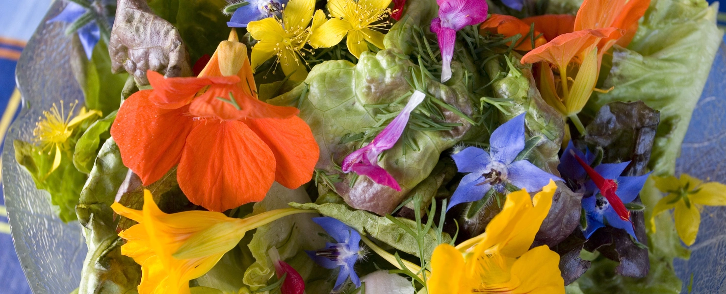 Eine bunte Mischung aus essbaren Blüten, darunter Orange- und Gelbtöne, die zusammen mit grünen Salatblättern eine lebendige und farbenfrohe Zusammenstellung bilden. Die Blüten verleihen dem Gericht einen frischen, natürlichen Look und sind dekorativ in einem Glasgefäß arrangiert.