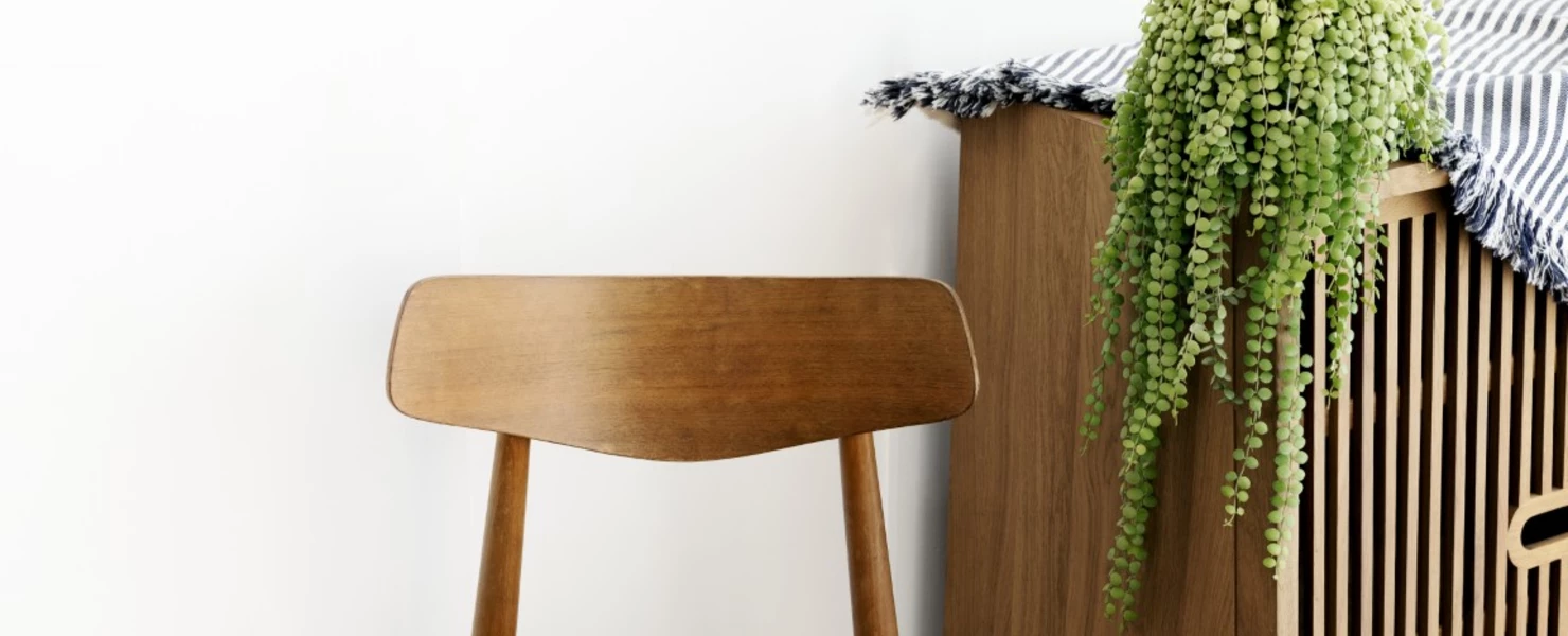Hängende Dischidia mit zahllosen rundlichen Blättern, die über die Kante eines Holzschranks mit Stoffüberwurf hängen.