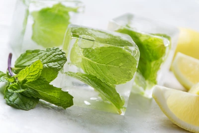 Eiswürfel mit eingeschlossener Hugo-Minze, umgeben von frischen Minzblättern und Zitronenscheiben auf einer glatten weißen Oberfläche.