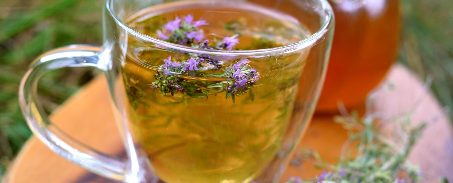 Ein Glas mit Kräutertee, in dem Quendel-Arzneithymian schwimmt, steht auf einem Holzbrett im Freien. Daneben liegen frische Thymianzweige und ein Glas Honig mit Löffel. Der Hintergrund ist unscharf und zeigt grünes Gras.