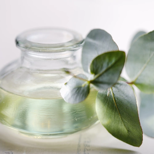Eine kleine Glasflasche mit transparentem, leicht grünlichem Eukalyptusöl, daneben ein frischer Eukalyptuszweig mit runden, grünen Blättern. Der Hintergrund ist weich und hell gehalten.