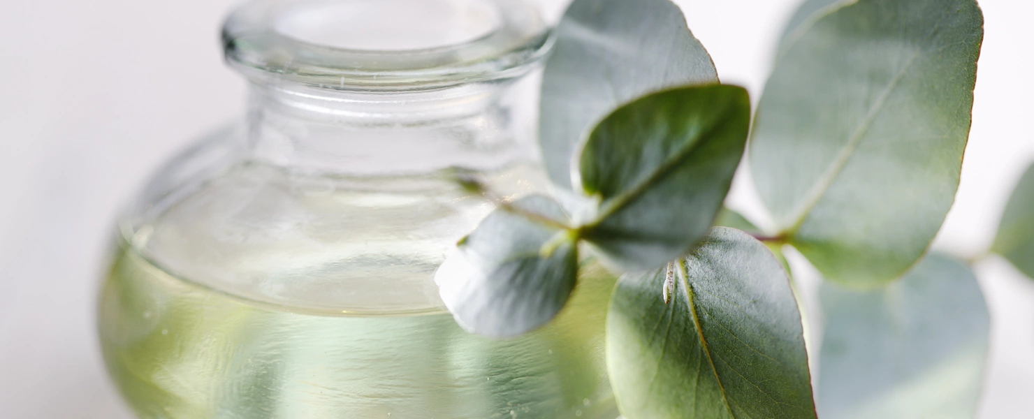 Eine kleine Glasflasche mit transparentem, leicht grünlichem Eukalyptusöl, daneben ein frischer Eukalyptuszweig mit runden, grünen Blättern. Der Hintergrund ist weich und hell gehalten.