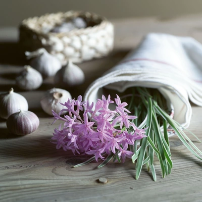 Ein Bündel Knoblauchgras (Allium tuberosum) mit zarten rosa Blüten liegt auf einem Holztisch. Es wird von einem weißen Handtuch begleitet, und im Hintergrund sind Knoblauchzehen sichtbar.