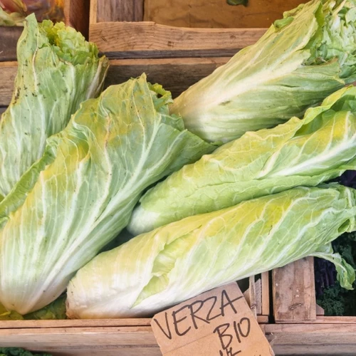 Zuckerhut-Salatköpfe in einer Holzkiste auf einem Marktstand.