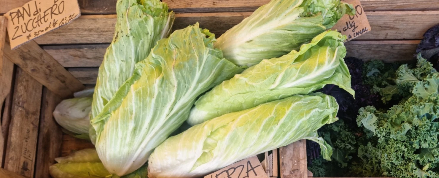 Zuckerhut-Salatköpfe in einer Holzkiste auf einem Marktstand.
