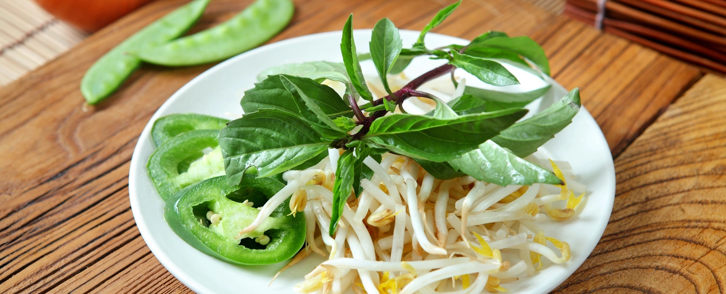 Ein Teller mit frischen Sprossen, grünen Chilischoten und vietnamesischem Koriander (Coriandrum sativum) ist angerichtet, umgeben von Limetten und asiatischen Essstäbchen auf einem Holztisch.