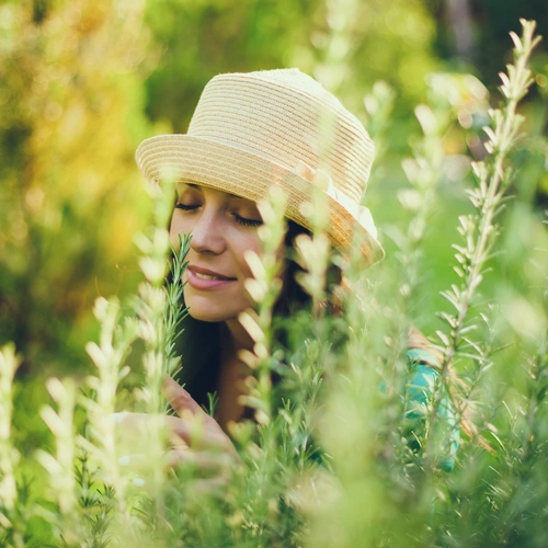 Eine Frau in einem Strohhut steht inmitten von Gourmet-Rosmarin (Salvia rosmarinus) Pflanzen und riecht an den aromatischen Kräutern. Der weiche Hintergrund und das warme Licht verstärken die natürliche und entspannte Atmosphäre des Bildes.