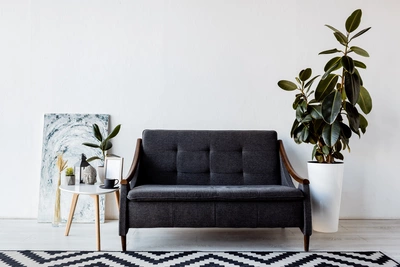 Ein Gummibaum in einem weißen, hohen Topf steht neben einem dunkelgrauen Sofa in einem modern eingerichteten Raum mit einem kleinen runden Beistelltisch und einem abstrakten Kunstwerk an der Wand