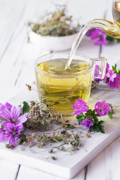 Eine Tasse Kräutertee wird in ein durchsichtiges Glas eingeschenkt. Auf einem weißen Brett liegen getrocknete Kräuter und violette Blüten der Mauretanischen Malve. Im Hintergrund stehen weitere Blüten und eine Schale mit getrockneten Kräutern.