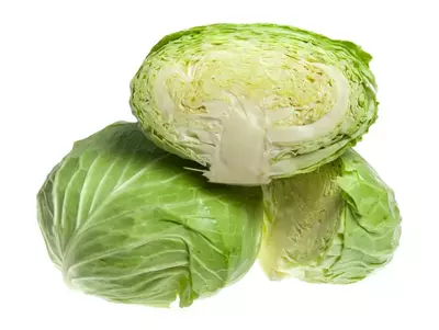 Halbierter Kopf Ufo-Kraut (Weißkohlart) auf weißem Hintergrund.