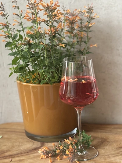 Eine Limonadenpflanze (Aloysia citrodora) mit orangefarbenen Blüten in einem Topf steht neben einem Glas mit rosa Flüssigkeit. Einige Blütenblätter schwimmen im Getränk, und die Pflanze ist gut sichtbar im Hintergrund.