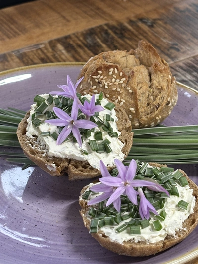 Zwei belegte Brote mit Frischkäse, garniert mit gehacktem Knoblauchgras (Allium tuberosum) und violetten Blüten, liegen auf einem lilafarbenen Teller. Frische Knoblauchgraspflanzen sind im Hintergrund sichtbar.