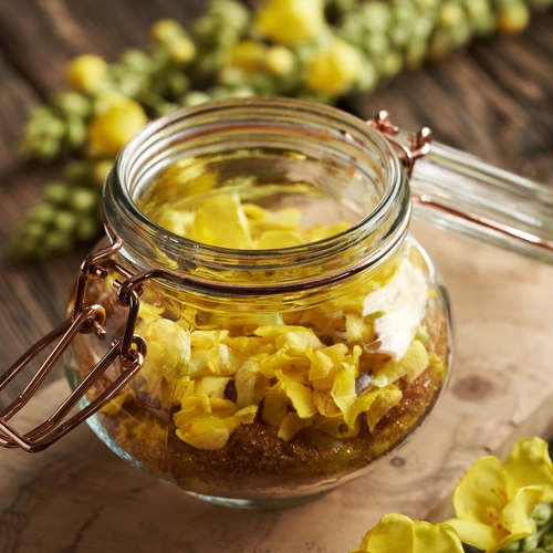 Königskerze (Verbascum) in einem Glasbehälter, gefüllt mit den gelben Blüten der Pflanze, die in Öl eingelegt sind. Der Hintergrund zeigt weitere getrocknete Blüten und eine rustikale Holzoberfläche.