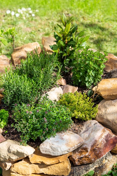 Eine Kräuterspirale aus Natursteinen mit verschiedenen Pflanzen wie Oregano, Rosmarin und Thymian in einem sonnigen Garten. Der grüne Rasen im Hintergrund unterstreicht die natürliche Umgebung.