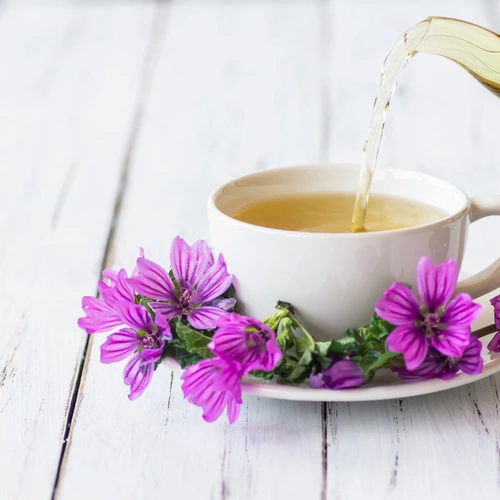 Eine weiße Tasse mit Kräutertee wird aus einer Glas-Kanne eingeschenkt. Auf der Untertasse liegen frische violette Blüten der Mauretanischen Malve. Der Hintergrund ist ein heller Holztisch mit weicher Beleuchtung.