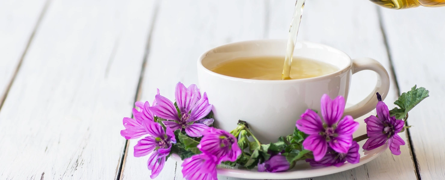 Eine weiße Tasse mit Kräutertee wird aus einer Glas-Kanne eingeschenkt. Auf der Untertasse liegen frische violette Blüten der Mauretanischen Malve. Der Hintergrund ist ein heller Holztisch mit weicher Beleuchtung.