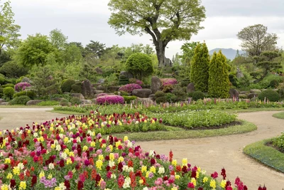 Große Gartenanlage mit bunten Löwenmäulchen (Antirrhinum majus) in Gelb, Rot, Rosa und Weiß, eingebettet in gepflegte Beete und umgeben von Sträuchern, Bäumen und Rasenflächen.