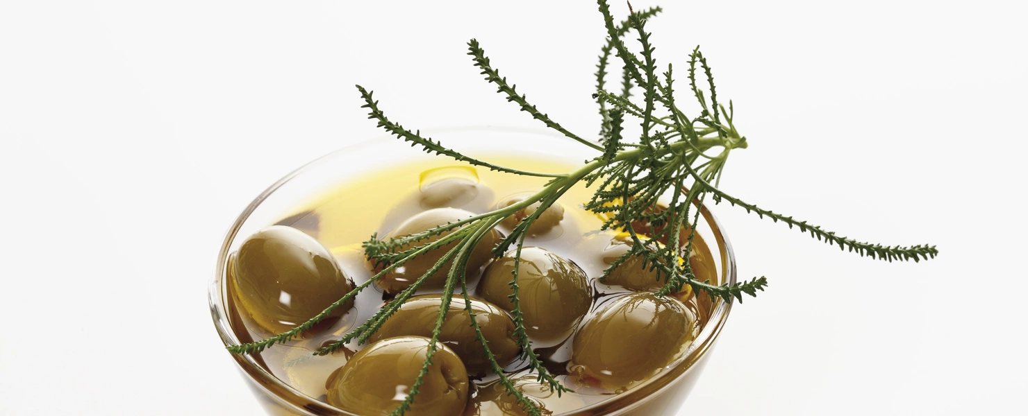Olivenkraut (Olea europaea) zusammen mit grünen Oliven in einer Schale, die in Öl eingelegt sind, mit Zweigen des Olivenkrauts als Dekoration.