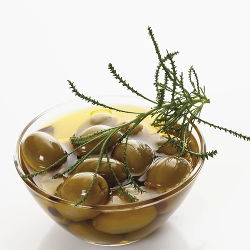 Olivenkraut (Olea europaea) zusammen mit grünen Oliven in einer Schale, die in Öl eingelegt sind, mit Zweigen des Olivenkrauts als Dekoration.