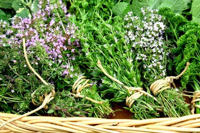 Bergbohnenkraut (Satureja montana) und andere Kräuter sind in einem Korb gebündelt. Die Kräuter, wie Thymian und Petersilie, sind mit einem natürlichen Band zusammengebunden und verströmen eine frische, aromatische Atmosphäre.