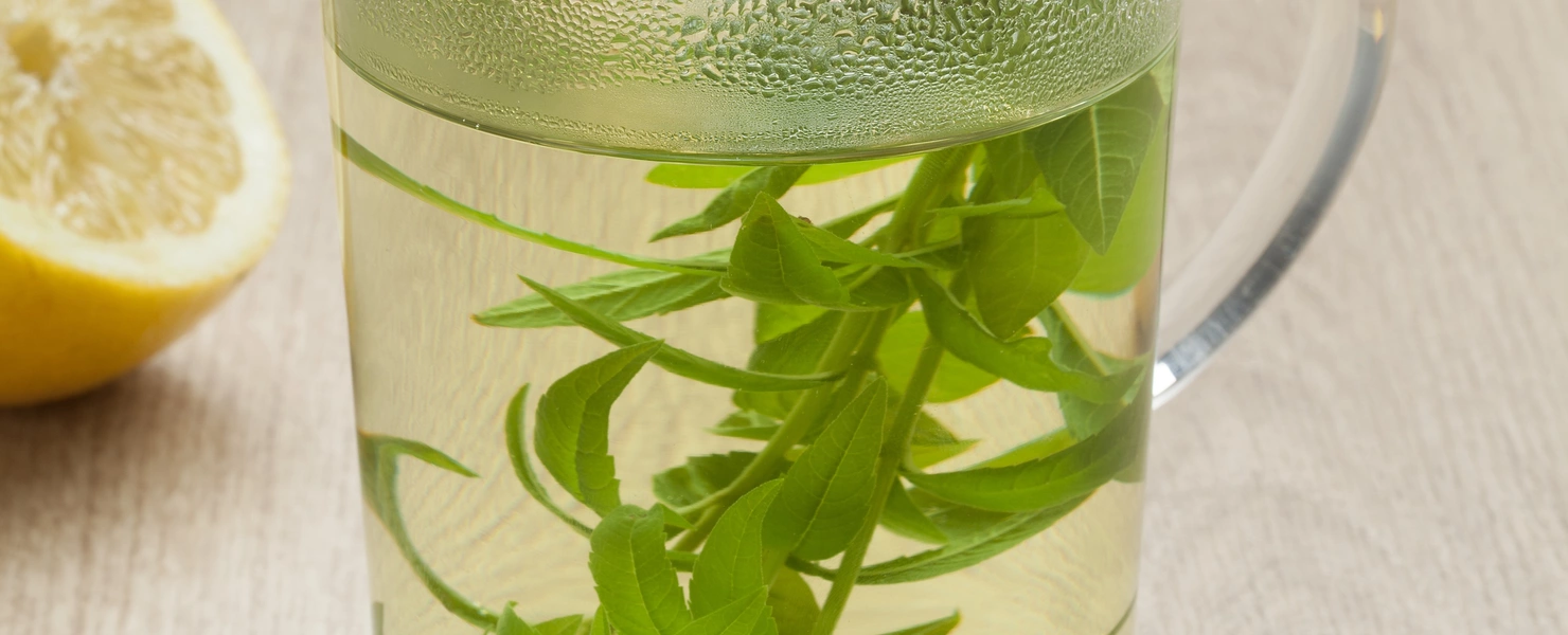 Ein Glas mit heißem Zitronenverbenen-Tee, darin frische grüne Blätter. Eine Zitronenscheibe steckt am Glasrand, im Hintergrund liegt eine halbierte Zitrone auf einem Holztisch.