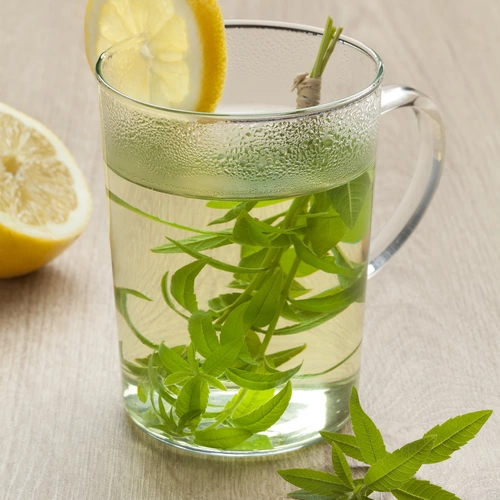 Ein Glas mit heißem Zitronenverbenen-Tee, darin frische grüne Blätter. Eine Zitronenscheibe steckt am Glasrand, im Hintergrund liegt eine halbierte Zitrone auf einem Holztisch.